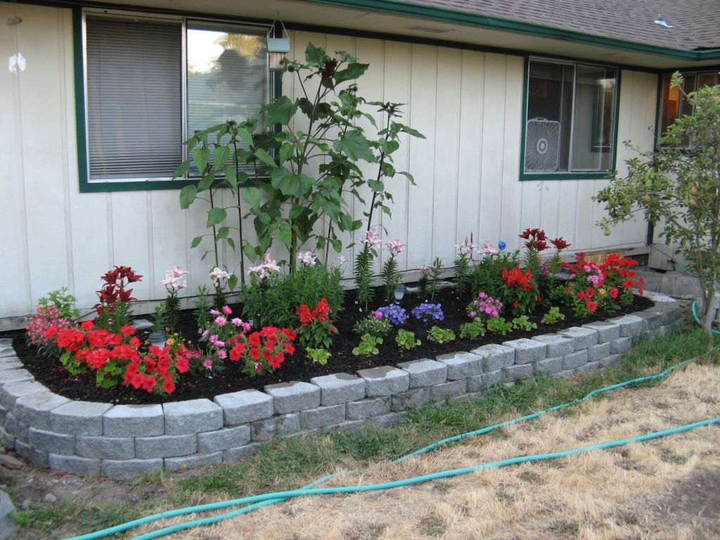 Parterre de fleurs sous la fenêtre