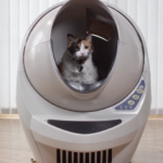 Bac à litière intelligent pour chat