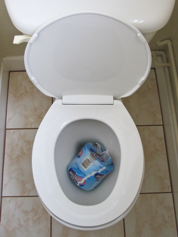 Rouleau de papier toilette dans les toilettes