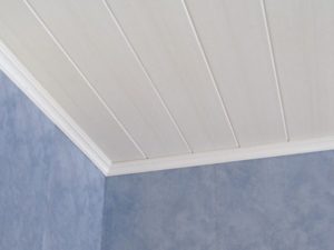 Panneaux en plastique pour le plafond.