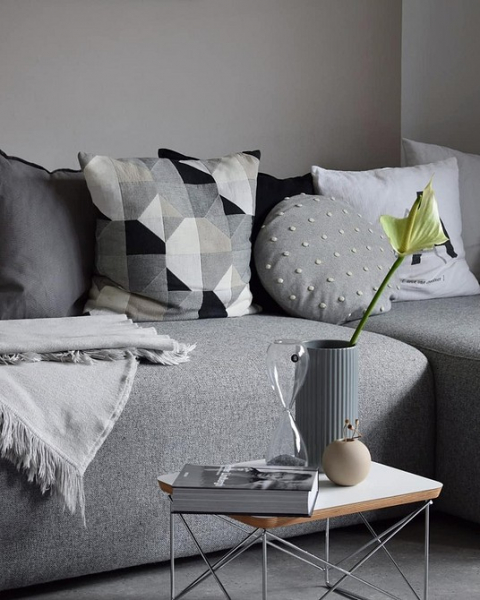 Plante d'intérieur + horloge