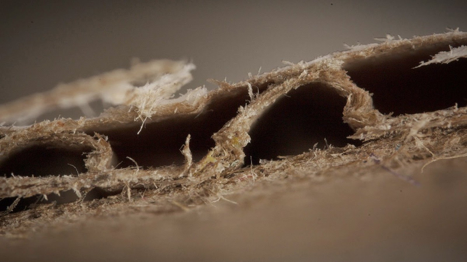 poussière dans le matelas