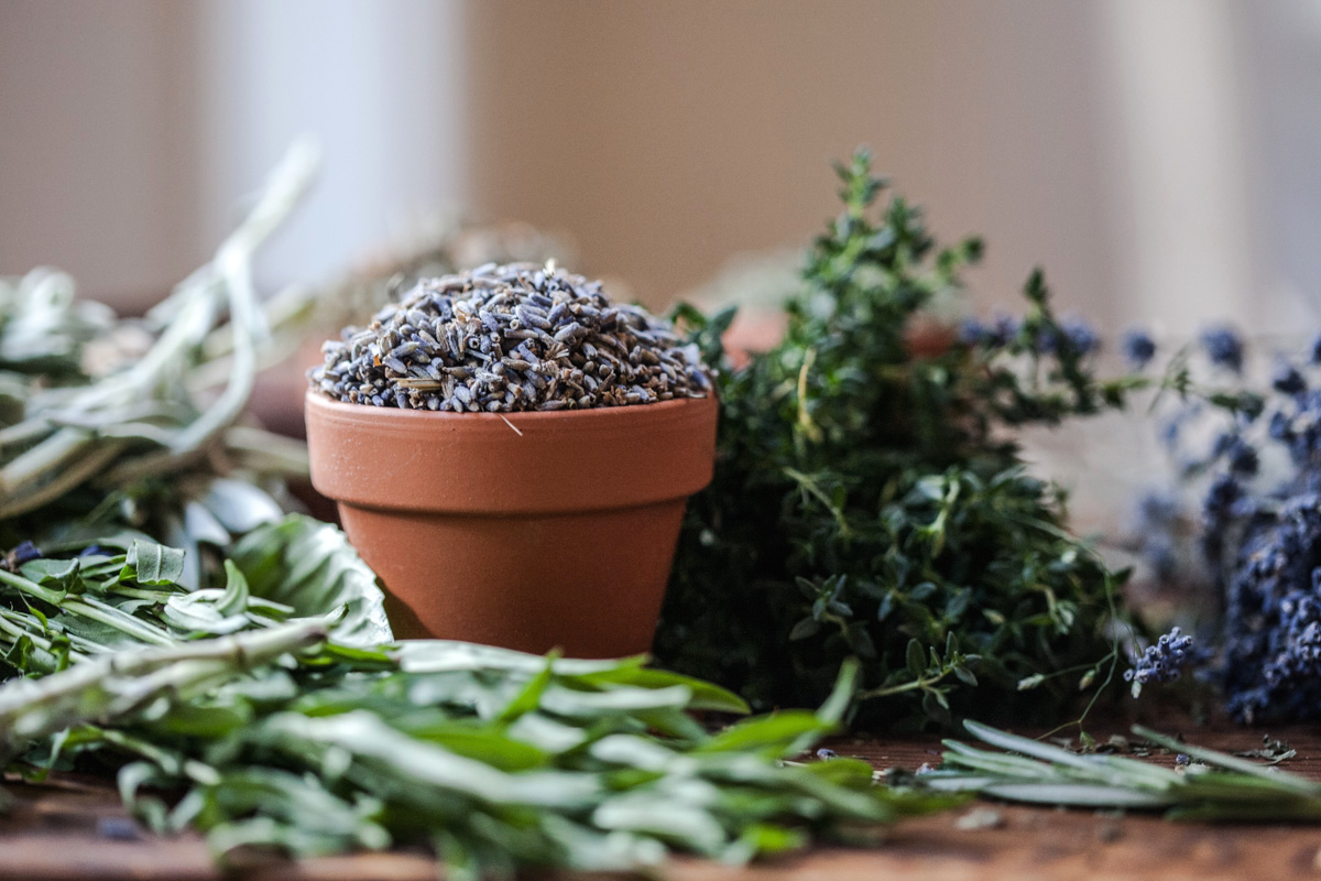 herbes pour odeur de maison