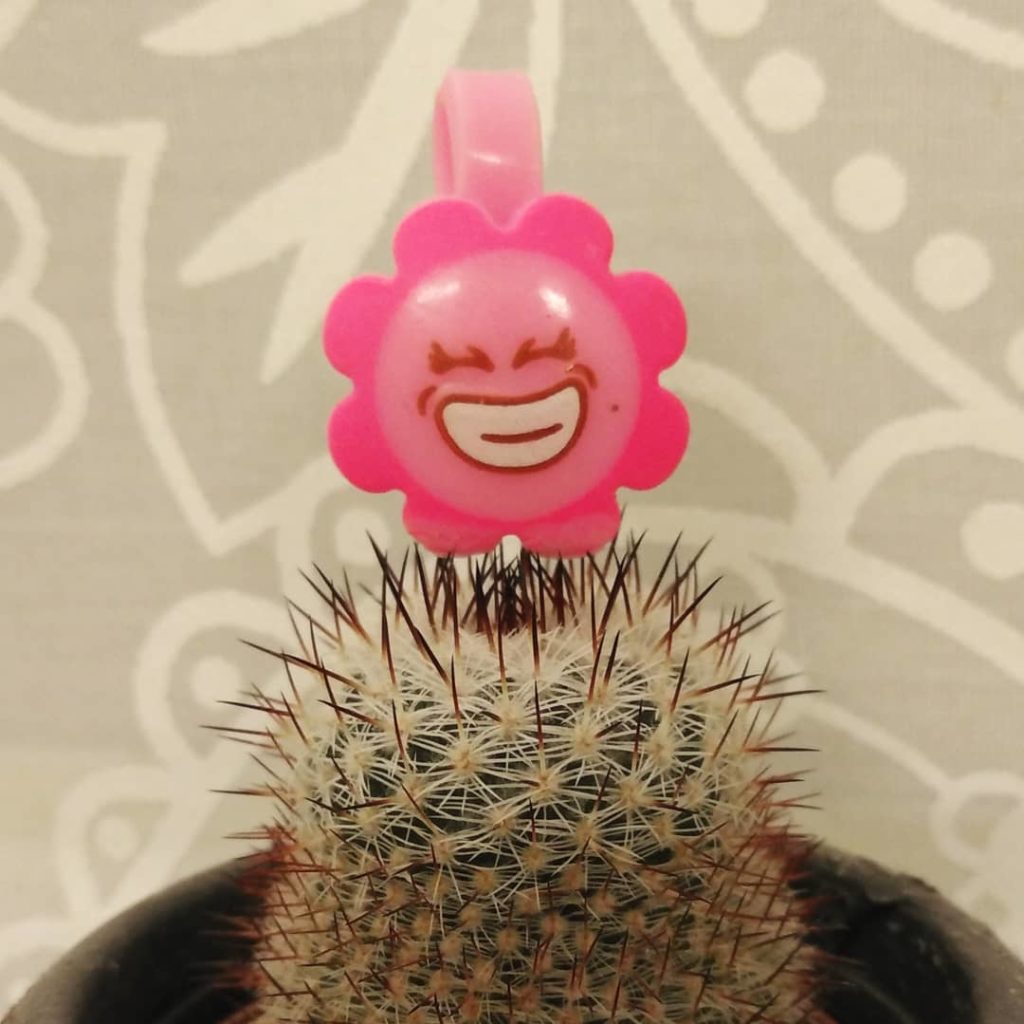 Les incontournables du quotidien