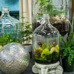 Maison et famille 6116 Ressources photo finales