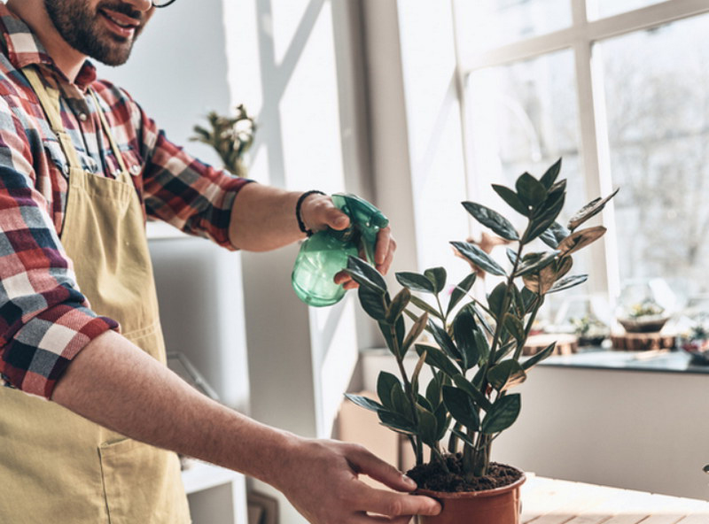 L'homme et les fleurs