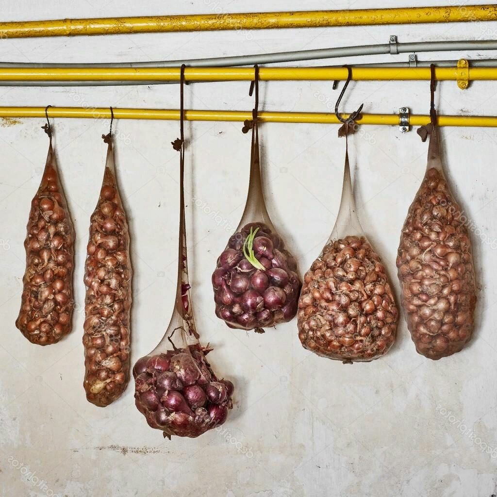 Stockage de l'oignon
