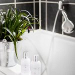 Dans la salle de bain