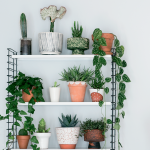 Créer une composition