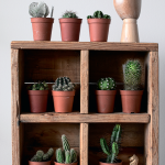 Créer une composition