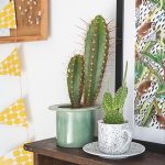 Jouez avec de vieux objets ménagers