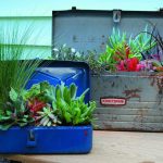 Jouez avec de vieux objets ménagers