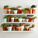 Créer une composition