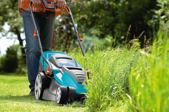 tondeuse ou tondeuse à gazon