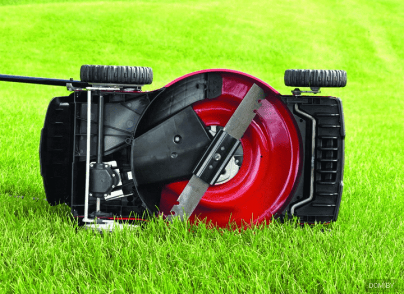 tondeuse à gazon mulching