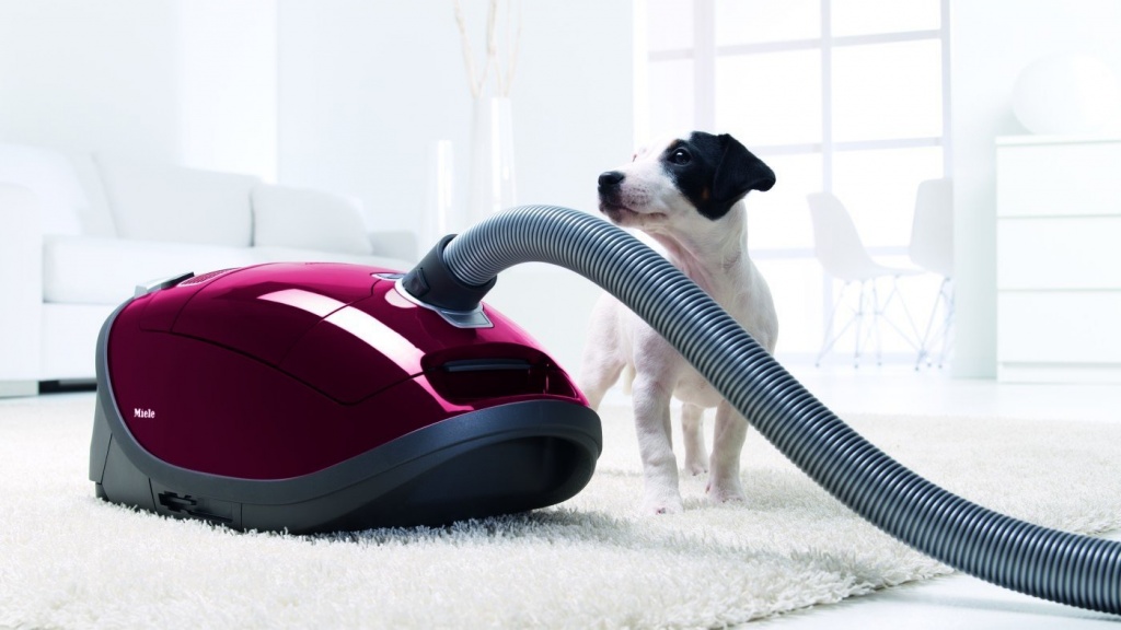 aspirateur ou robot aspirateur