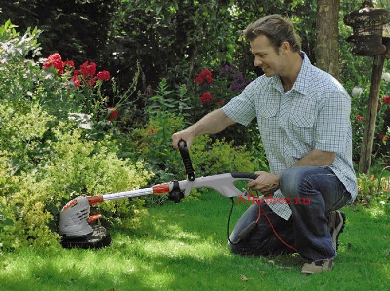 coupe-herbe électrique