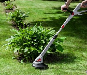 Tondeuse électrique.