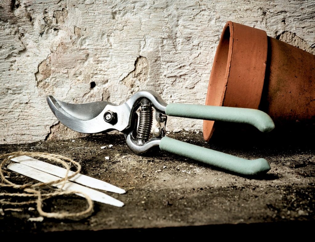 à quoi ressemble un sécateur ?