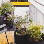 conception de maison (1)