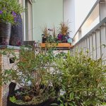 conception de maison (2)