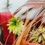 conception de maison (2)