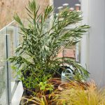 conception de maison (2)