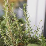 conception de maison (2)