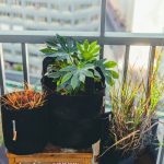 conception de maison (3)