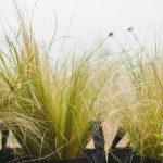 conception de maison (3)