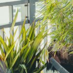 conception de maison (4)