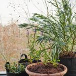 conception de maison (4)