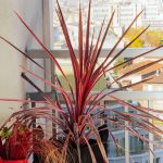 conception de maison (5)