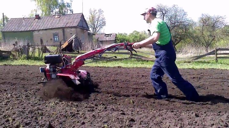 tracteur à conducteur marchant à la ferme