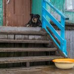 Bassin avec de l'eau