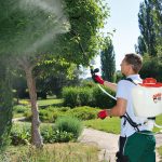quel pulvérisateur choisir