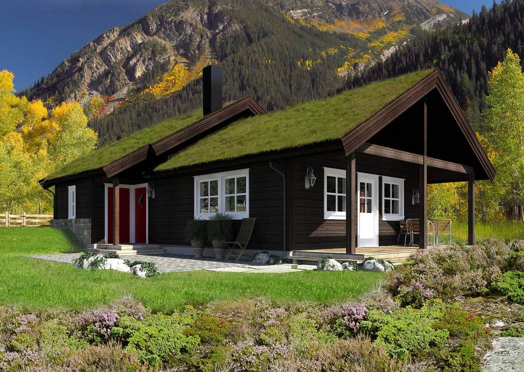 De l'herbe sur le toit