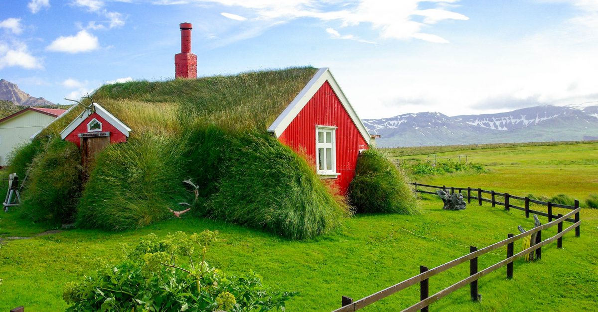 De l'herbe sur le toit