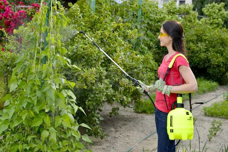 types de pulvérisateurs