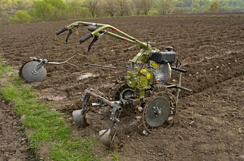 fudge des pommes de terre avec un tracteur à conducteur marchant