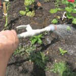 Buse prête à l'emploi pour le tuyau.