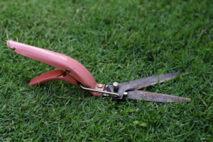 Capture d'écran 2022-03-13 au 14/05/12