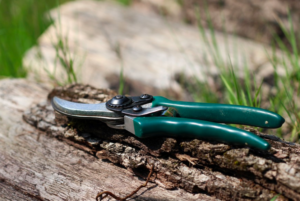 Capture d'écran 2022-03-13 au 12.05.36