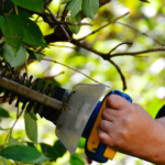 Capture d'écran 2022-03-13 au 19/07/12