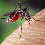 Capture d'écran 20/03/2022 au 12.48.04