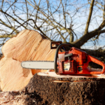 Capture d'écran 30/03/2022 au 17/07/41