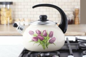 Bouilloire pour cuisinière à gaz