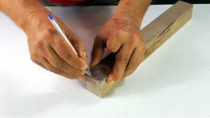 Foret circulaire - 1