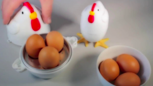 Chaudière à oeufs 1