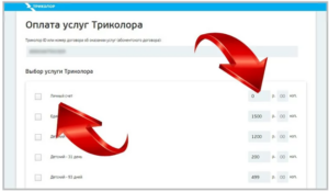 Que signifie l'erreur 10 Tricolore ?